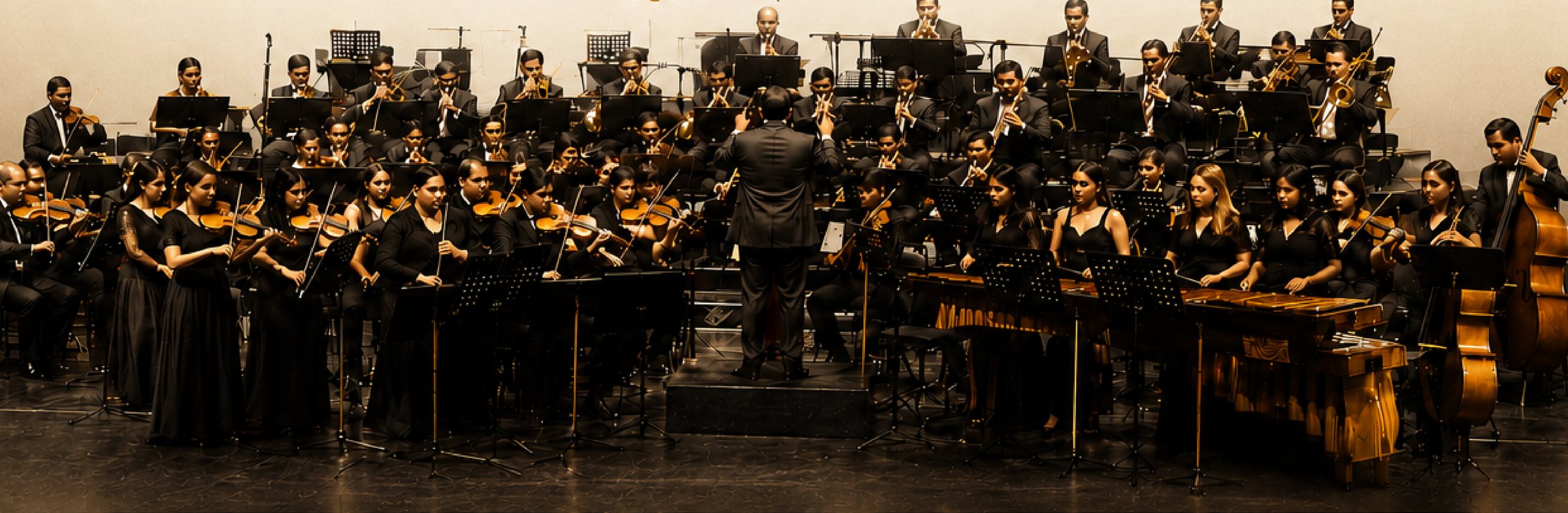 Orquesta sinfonica interpretando el concierto Jingle Night junto a un arbol de Navidad